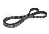 Ремень 1015 4PK DAIHATSU, FORD, HONDA, HYUNDAI, KIA, IVECO, MAZDA, NISSAN, RENAULT, SUZUKI 2