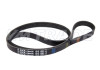 Ремень 1065 4PK FORD, HONDA, ISUZU, IVECO, MITSUBISHI, NISSAN, RENAULT 3