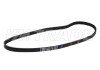 Ремень 1065 4PK FORD, HONDA, ISUZU, IVECO, MITSUBISHI, NISSAN, RENAULT 4
