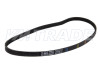 Ремень  955 4PK CHEVROLET, DAEWOO, CITROEN, PEUGEOT, FIAT, MAZDA, MITSUBISHI, SUBARU,  SUZUKI 2