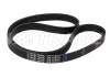 Ремень 1130 5PK NISSAN, MITSUBISHI, TOYOTA, SUZUKI, FORD, VAG, VOLVO, CUMMINS 2