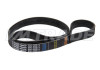 Ремень 1035 6PK TOYOTA, LEXUS, FIAT, NISSAN, HONDA, VAG, FORD, CITROEN / PEUGEOT 2