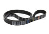 Ремень 1050 6PK CITROEN, PEUGEOT, FIAT, GM, HONDA, IVECO, LEXUS, MAZDA, OPEL, RENAULT, TOYOTA, VAG 2