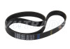 Ремень 1175 6PK HONDA, INFINITI, NISSAN, RENAULT, VAG, VOLVO, CITROEN, PEUGEOT 2