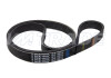 Ремень 1185 6PK BMW, CADILLAC, CITROEN, PEUGEOT, CUMMINS, DAIHATSU, FIAT, FORD, HONDA, HYUNDAI, KIA, LAND ROVER, MAZDA, MERCEDES, MG, OPEL, ROVER, SUZUKI, TOYOTA, VAG, VAUXHALL, VOLVO 2