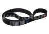 Ремень  955 6PK МАЗ, УРАЛ дв. ЯМЗ-650, HYUNDAI, KIA, NISSAN, HONDA, VAG, NISSAN, CITROEN, PEUGEOT 2