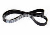 Ремень 1137 6PK LADA Granta, RENAULT, HONDA, MAZDA, MITSUBISHI, SUZUKI, TOYOTA, VAG, VAUXHALL, VOLVO, OPEL, CITROEN , FIAT 3