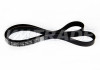 Ремень 1400 6PK CHRYSLER, CITROEN, PEUGEOT, FIAT, FORD, HYUNDAI, KIA, MAZDA, RENAULT, SUZUKI, TOYOTA, VOLVO, MINI, DODGE 3