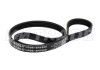 Ремень  800 4PK BMW, HONDA, NISSAN, SUZUKI, MAZDA, HYUNDAI, CITROEN, FIAT, LANCIA, TOYOTA 2
