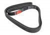 Ремень 1660 6PK AUDI, BMW, SKODA, VW, CITROEN, PEUGEOT, RENAULT, FIAT 2