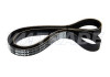 Ремень  870 5PK CHEVROLET, FIAT, FORD, MITSUBISHI, SUBARU, TOYOTA, RENAULT, LAND ROVER, MG 2