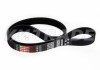 Ремень  955 6PK МАЗ, УРАЛ дв. ЯМЗ-650, HYUNDAI, KIA, NISSAN, HONDA, VAG, NISSAN, CITROEN, PEUGEOT 3