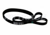Ремень 2445 6PK CHEVROLET, HUMMER, JEEP, MERCEDES-BENZ, SAAB, VAG, JOHN DEERE 2