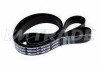 Ремень 1440 6РК HYUNDAI, KIA, MAZDA, CHRYSLER, CITROEN, PEUGEOT, FIAT, FORD, MITSUBISHI 3