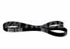 Ремень 1460 6PK BMW, HONDA, MAZDA, OPEL, RENAULT, VAG, FORD, MERCEDES-BENZ, GENERAL MOTORS, LAND ROVER, VAUXHALL 2