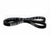 Ремень  925 4PK DACIA, FIAT, FORD, HONDA, HYUNDAI, KIA, MAZDA, MITSUBISHI, NISSAN, RENAULT, SUZUKI, TOYOTA 2
