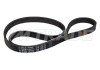 Ремень 1125 5PK AUDI, BMW, MITSUBISHI, NISSAN, TOYOTA, RENAULT, SUZUKI, OPEL, VOLVO, GM, MB, CITROËN, VAUXHALL 2