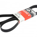 Ремень 1740 6PK CHRYSLER, CITROEN, PEUGEOT, FIAT, FORD, HYUNDAI, KIA, RENAULT, SUZUKI, VAG, CUMMINS,  SSANGYONG, JOHN DEERE