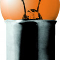 Лампа одноконтактная (габарит, поворот, стоп-сигнал) 12Vх 5W желтая (цоколь BA15s) R5W