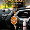 Ароматизатор подвесной войлочный Ford с флаконом заправкой Black Ice 10 мл.