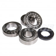 Р/к редуктора задн. моста ГАЗ-3102, 3110, 31105 (подшипники, сальник) дифференциала и ведущей шестерни "Оригинал"