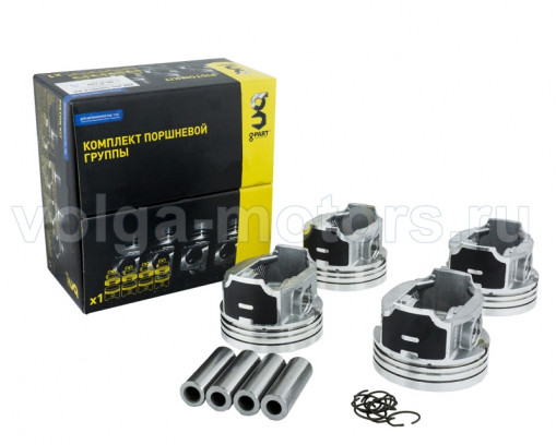 Поршни с пальцами 405 дв. 96,0 покрытие Molykote