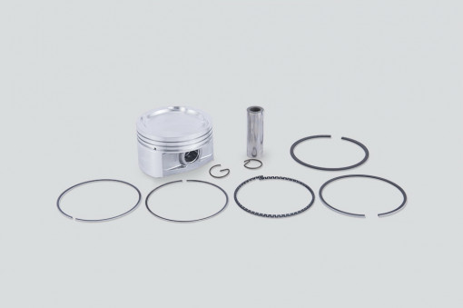 Поршни с пальцами дв. ЗМЗ-409 ЕВРО-3 (+кольца) 95,5мм "ПРОФЕССИОНАЛ" группа А (040904100401803)(409040106401841)