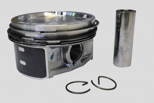 Поршни с пальцами дв. ЗМЗ-409 ЕВРО-3 (+кольца) 96,0мм "ПРОФЕССИОНАЛ" группа A(А)