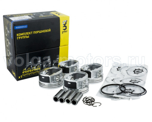 Поршни с пальцами дв. ЗМЗ-409 ЕВРО-3 (+кольца) 96,0мм