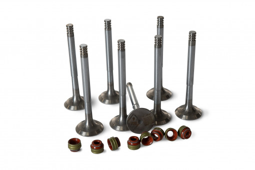 Комплект выпускных клапанов (бензин) с маслосъемными колпачками для автомобилей производства ООО”УАЗ”, ПАО “ГАЗ” с двигателями ЗМЗ 405, 406, 409. Клапан (ЧАМЗ) 8 шт, колпачок материал NBR 8 шт.